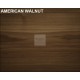 american walnut